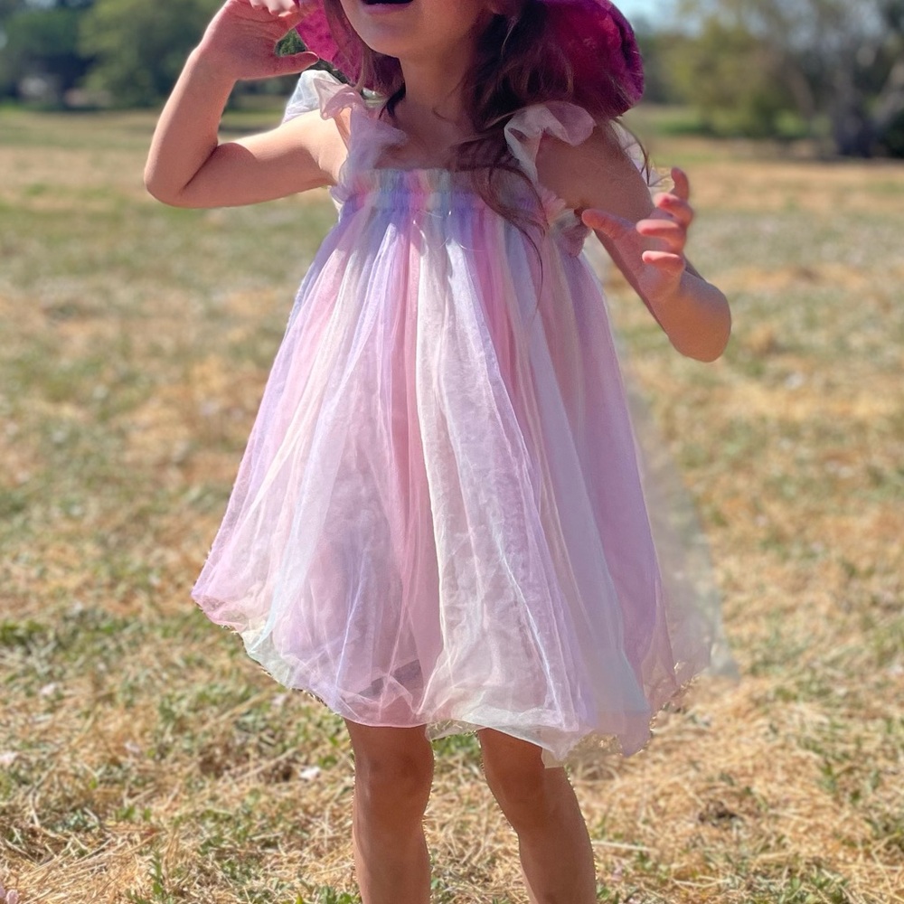 Girls' Rainbow Tutu Butterfly Dress Size 4